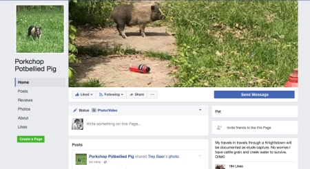 porkchop-facebook page